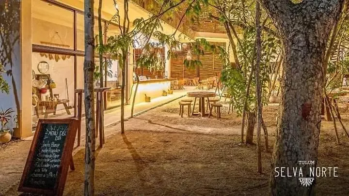 Studio Avec Piscines Et Cenotes Naturelles Tulum Apartment