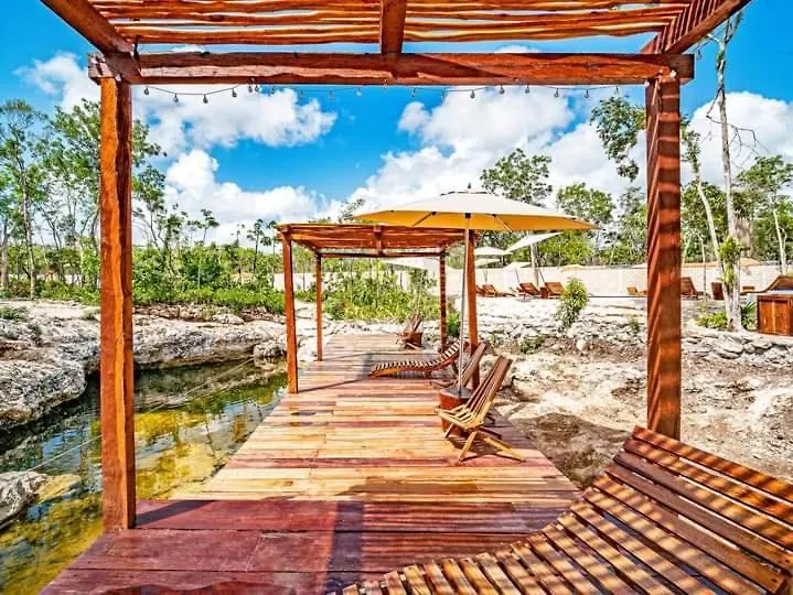 Studio Avec Piscines Et Cenotes Naturelles Tulum Apartment