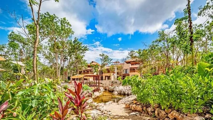 Studio Avec Piscines Et Cenotes Naturelles Tulum